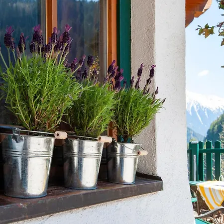 Daire In With Balcony, Cleaning Included Mayrhofen